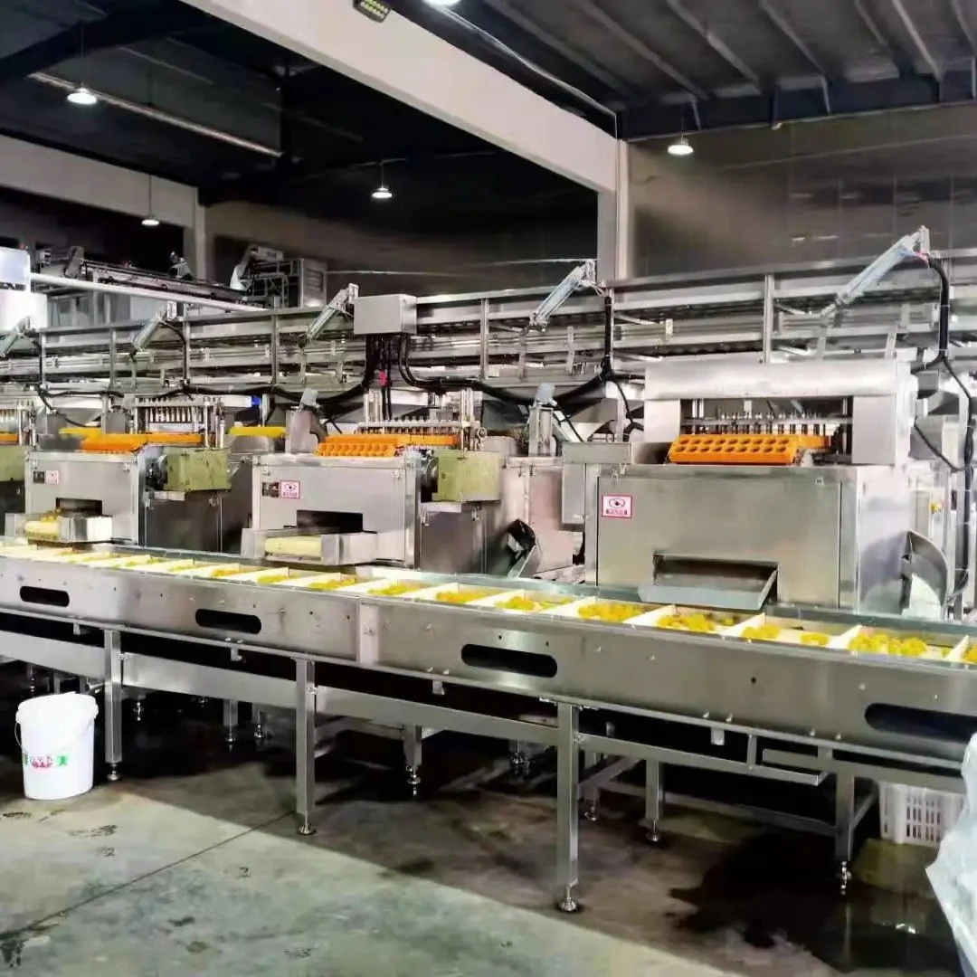 Canned yellow peach Genyond Automatic tin cans oranges food tangerine canning machine oranges production machine