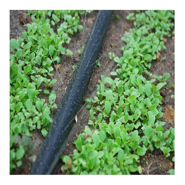 Spray Hose For Automatic Farm Irrigation System