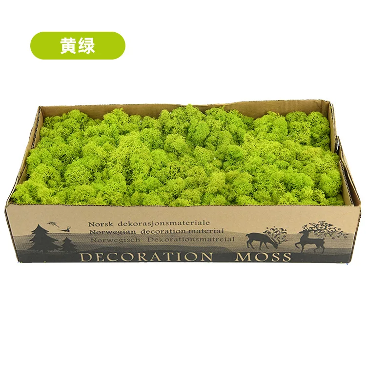 Factory directly supply preserved real natural decorative moss reindeer green moss 500g/box