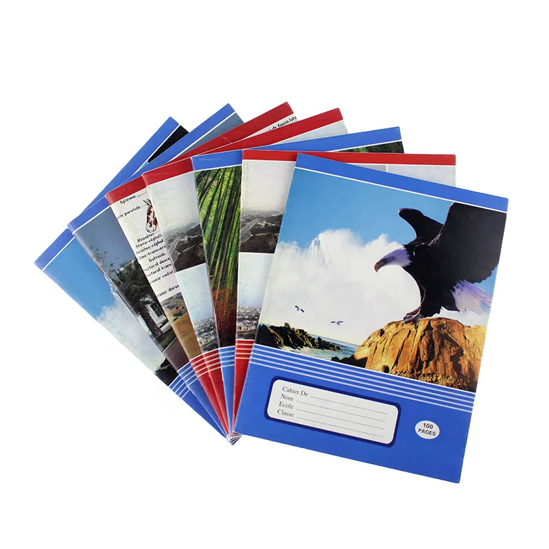 Wholesale China Factory Price High Quality French Line School Notebooks For Africa Stationery