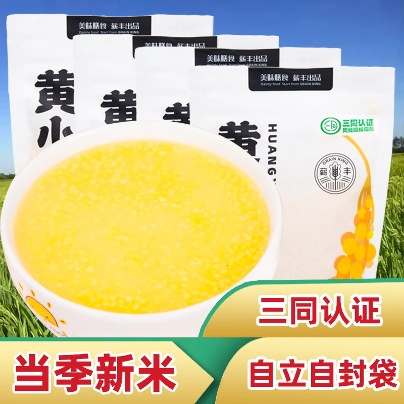 China best price Wholesale exporting grade millet seed yellow millet for sale