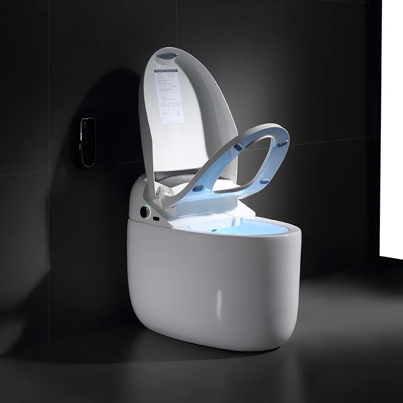 Wholesale Luxury Intelligent Modern Smart Bidet Toilet China Supplier