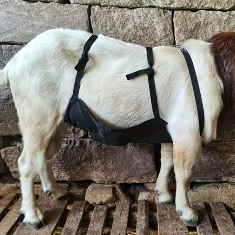 Sheep Goat  Adjustable Livestock Breeding Control Apron
