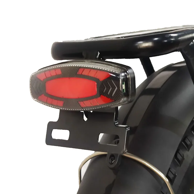 BLJ DP-2003 Folding Electric Bicycle 48V 1000W ebike for adults Mini portable ultra light FREE TAX ship from Poland