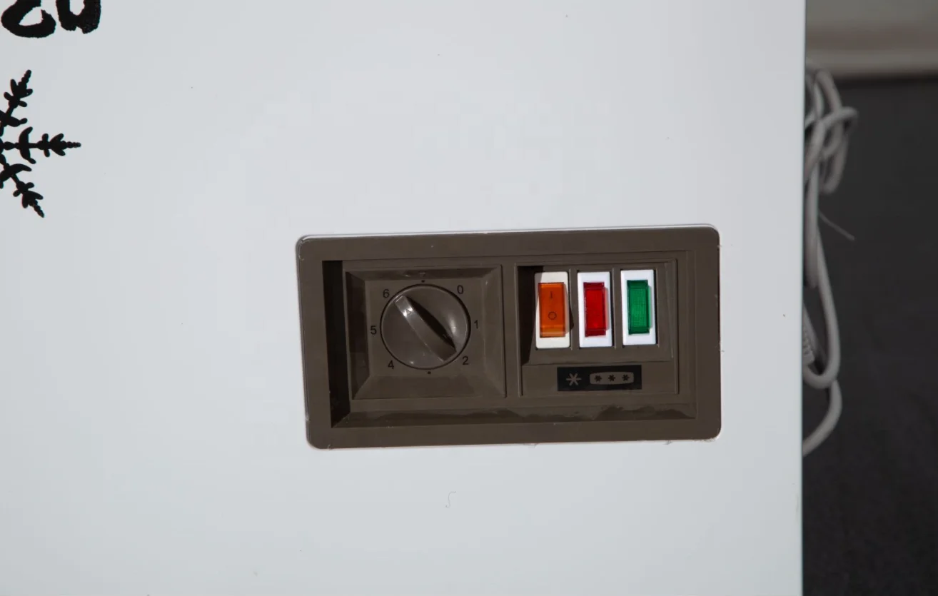 SNOWSEA BD-268 Restaurant Equipment Refrigerator  Deep Freezer Fridges for Home