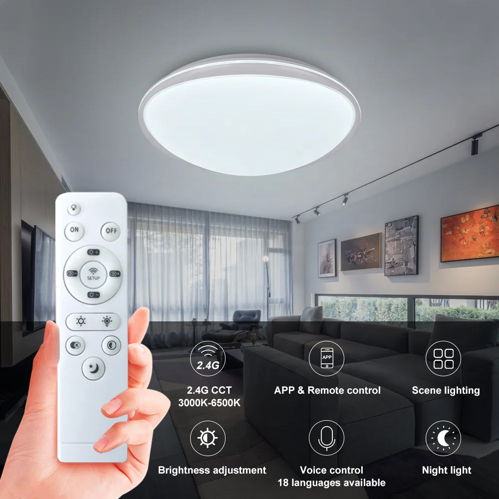 Oval shape RGB led ceiling lamp 24W color changing dimming remote control led recessed ceiling light living room bedroom hallway