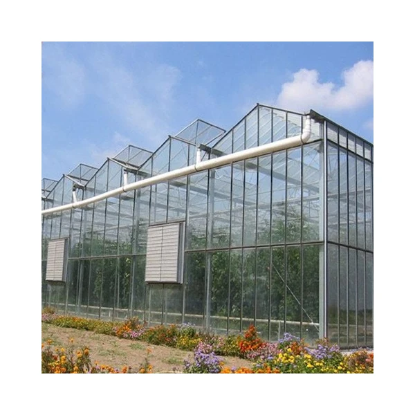 Glass Greenhouse with Hydroponic Growing System Large Water Cultivation Containers Green houses China Large Solar Panel JM