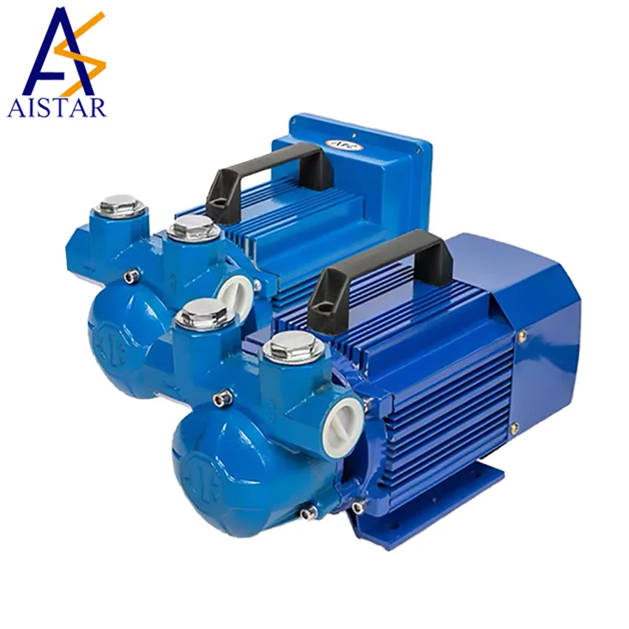 Durable 12V / 24V Fuel Transfer Pump/Explosion-proof Pump for Transferring Gasoline / Diesel