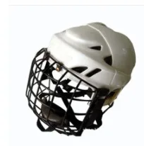 
ZY Wayne Gretzky Customised Custom Made Customized Hockey Helmet 