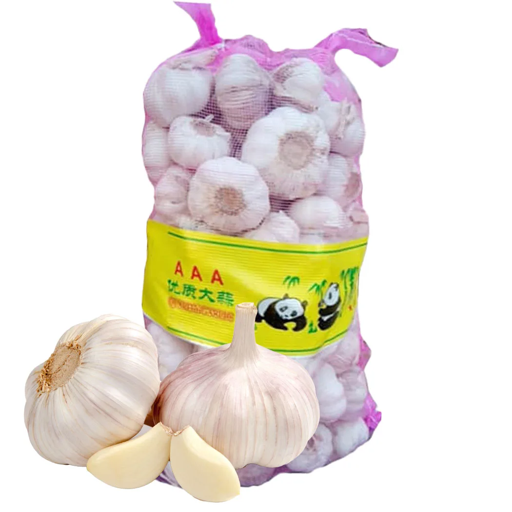 5CM ABOVE SIZE CHINA GARLIC IN 10KG CARTON 10KG MESH BAG EXPORT ASIA STANDARD