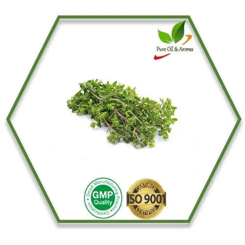 High Quality 100% Organic Marjoram Essential Oil