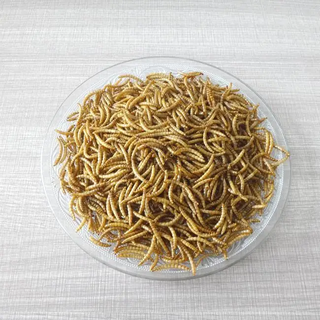 Quality Protein Dried mealworms Animal Feed Best Grade Fish Dog Horse Cattle Chicken Reptile Pig Protein dried worm meal
