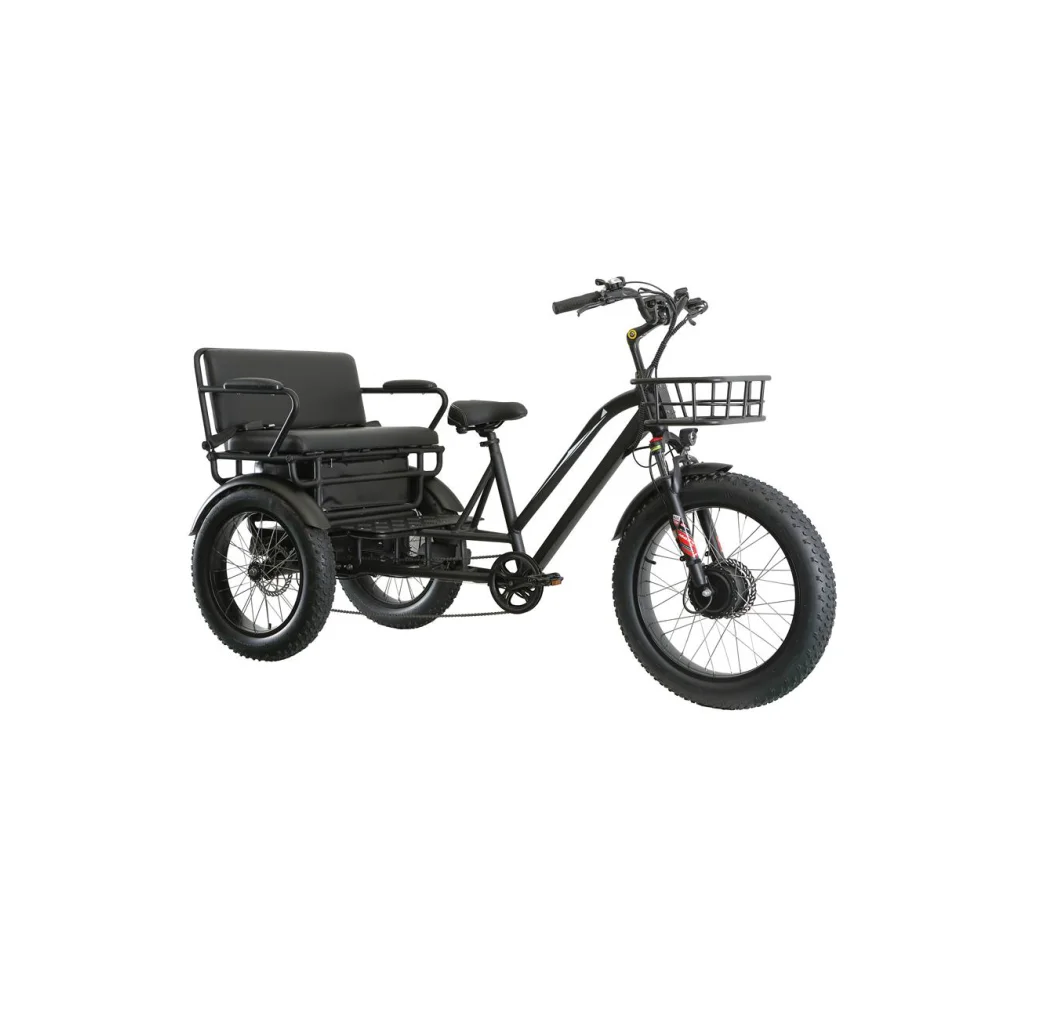 20 Inch Tricicle Electric Trike 750W Motor Fat Tire 3 Wheel E Bike Tricycle