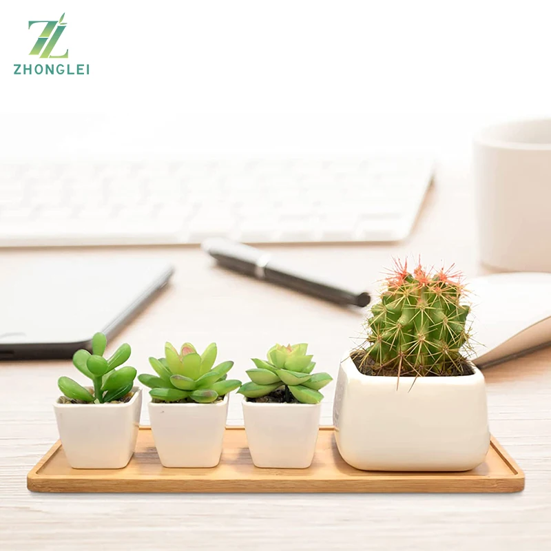 Мини Прямоугольный бамбуковый горшок, блюдце, прямоугольный деревянный поднос, растительный лоток для суккулентов, бонсай, коробки для цветов, лотки