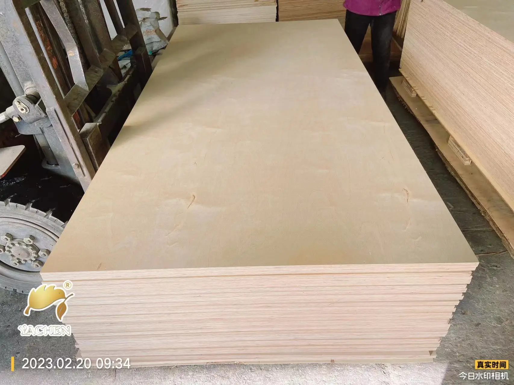 China Supplier Birch/poplar/ Basswood Faced Commercial Laser Cutting Plywood Sheets