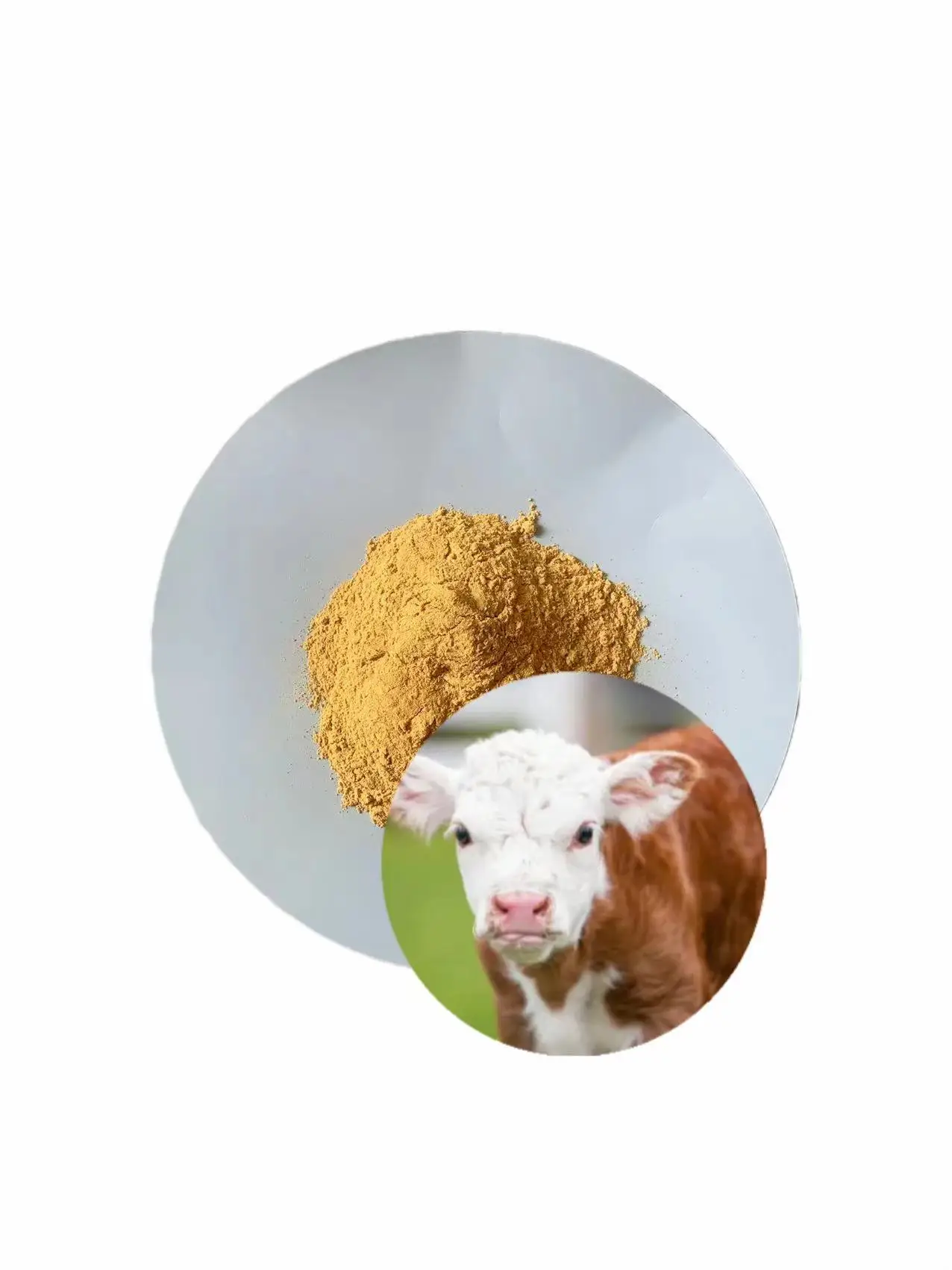 Corn gluten meal 60% rich protein for domestic animals