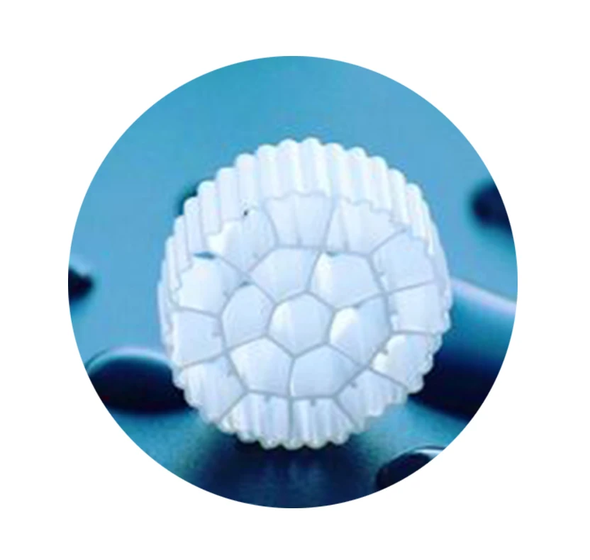 2021 best-selling aquaculture MBBR Bio Media for RAS Fish farming