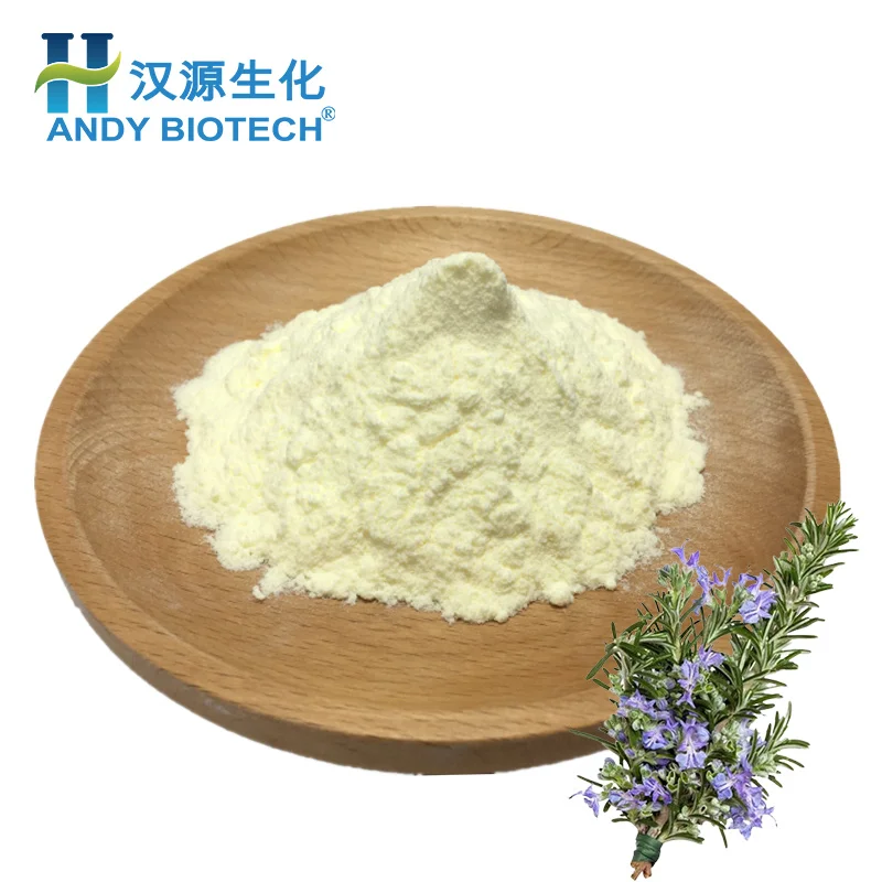High Quality Rosemary Extract Rosemary Leaf Extract  25% Ursolic Acid Powder