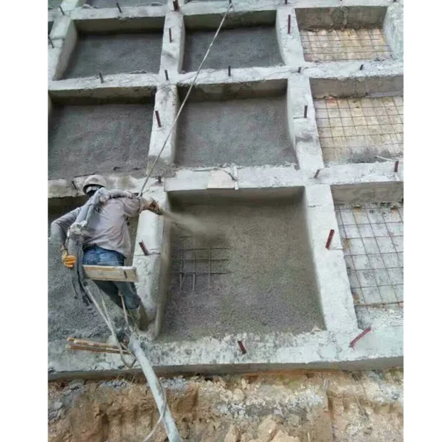shotcrete concrete pump.png