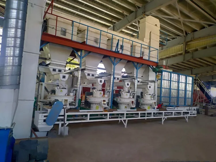 Bolida&Rotex YGKJ560 1.5-2TON/H wood sawdust pellet production line biomass pellet press machine