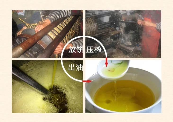 Camellia oil CAS 68916-73-4 pure natural CAMELLIA SINENSIS LEAF OIL for Anti-aging