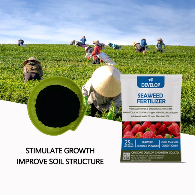 China Professional Manufacture Seaweed Extract Powder Seaweed Organic Fertilizer