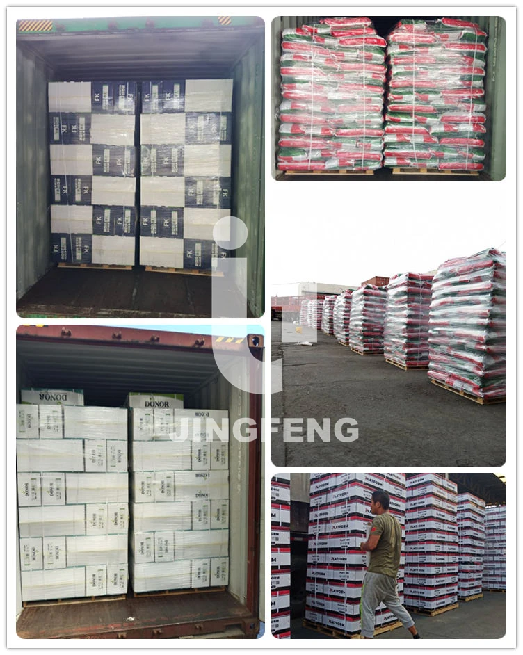 Irrigation fertilizer seaweed extract Seaweed Extraction fertilizer kelp source powder  18% alginic acid flakes seaweed extract