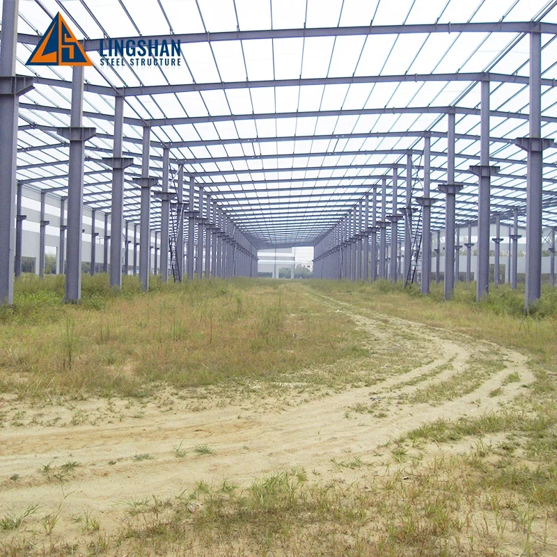 Large Span DWG Design Prefab Steel Structure Construction Hangar Workshop Building