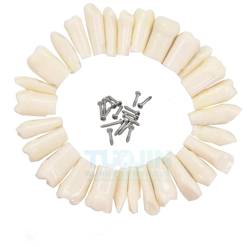28 Teeth Resin Teeth Dental Dentures Flexible Denture Resin Dental Acrylic Resin Denture False Teeth 3 Sets