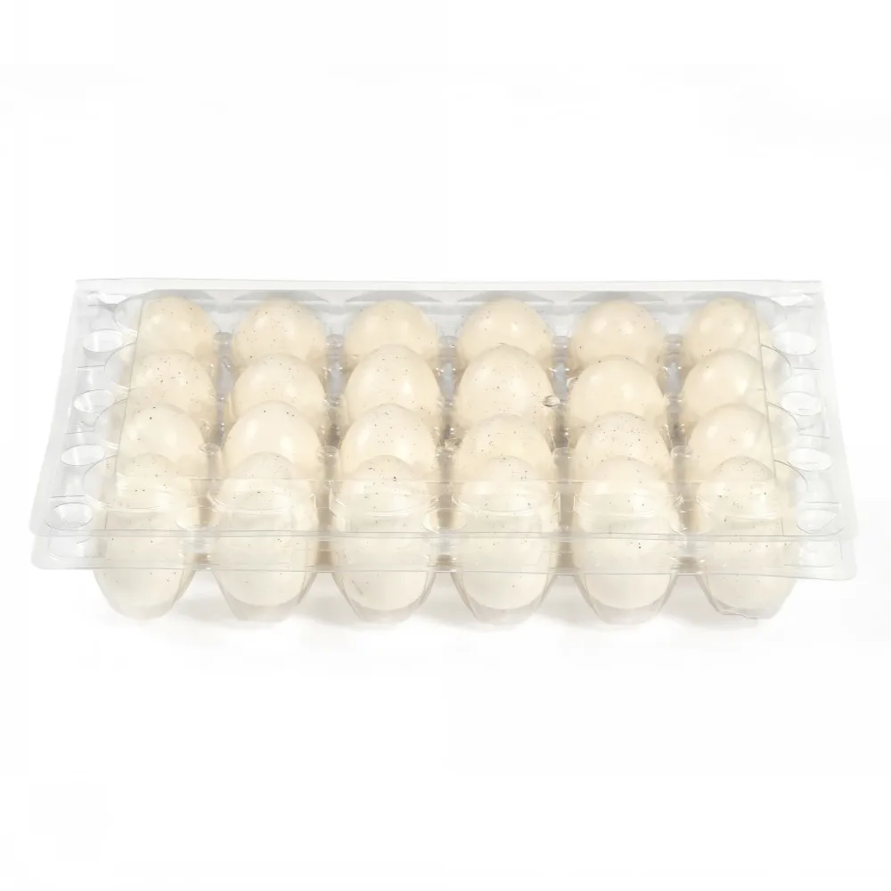 24 Cells Quail Eggs Plastic Package Tray,24 Holes Quail Egg Blister Tray