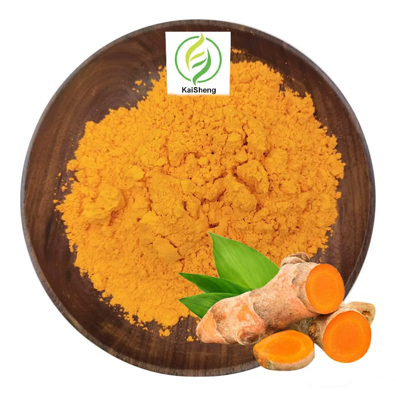 Curcuma Longa Extract Turmeric Root Powder Curcumin 95%