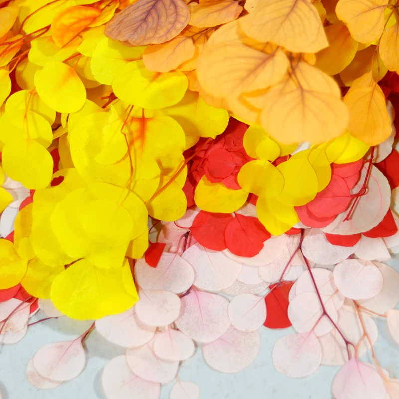 GH-031 Preserved eucalyptus branches silver dollar eucalyptus for vase wedding flower arrangements