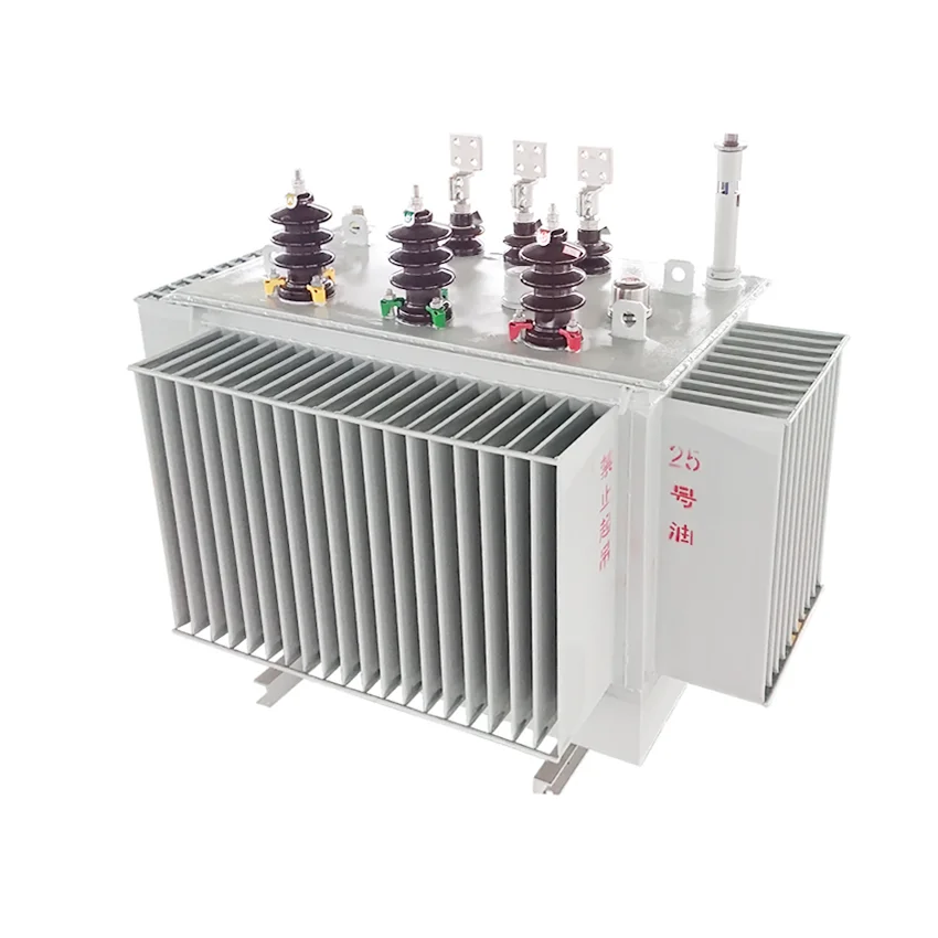Temperature Cold Resistance 11kv 33kv 300KVA 1000KVA 10 MVA Oil Immersed Power electrical Distribution transformers price