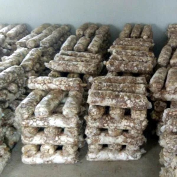 
Shiitake Mushroom Bulk Logs Spawn For Sale 