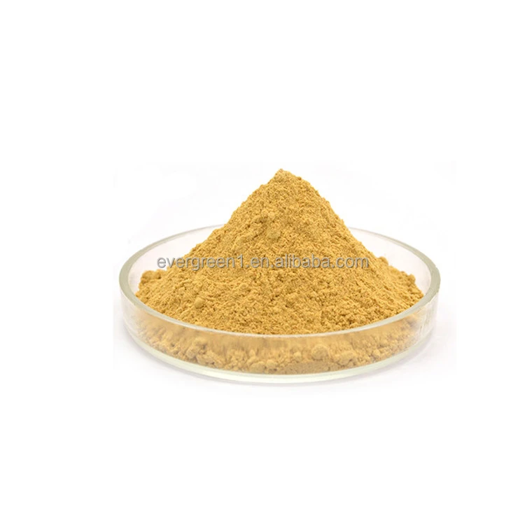 Пищевые добавки, экстракт шлемника байкальского, трава 95%, порошок Байкальского