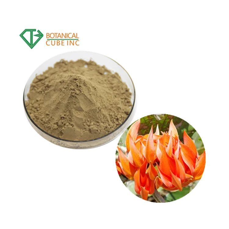 Hot sale plant extract 10:1 Butea Superba Extract Powder
