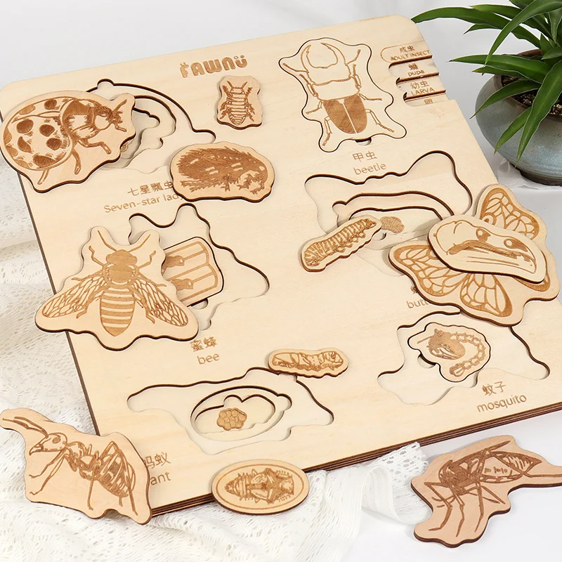 2024 new Biological Evolution Multi-layered Jigsaw Puzzle Early Education DIY Toy Featuring Animal Insect for kids boys girls