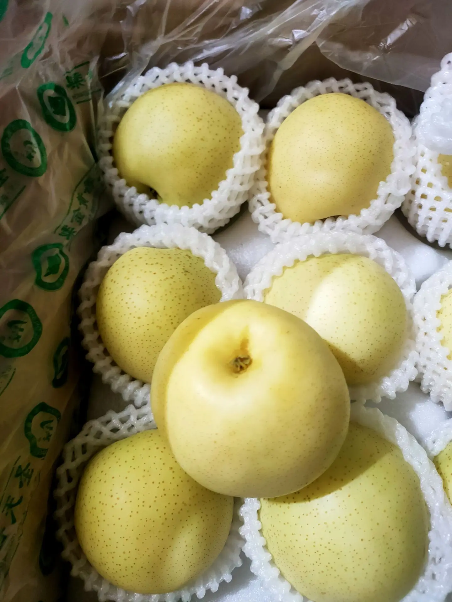 Новый урожай свежих китайских фруктов Золотая груша