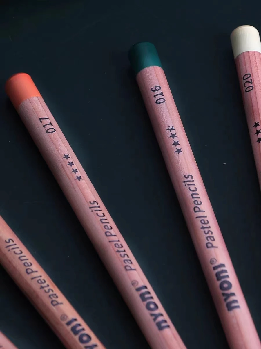 Nyoni Sketch color Charcoal pen 24 Color charcoal sketch carbon pen Art students special drawing pencil