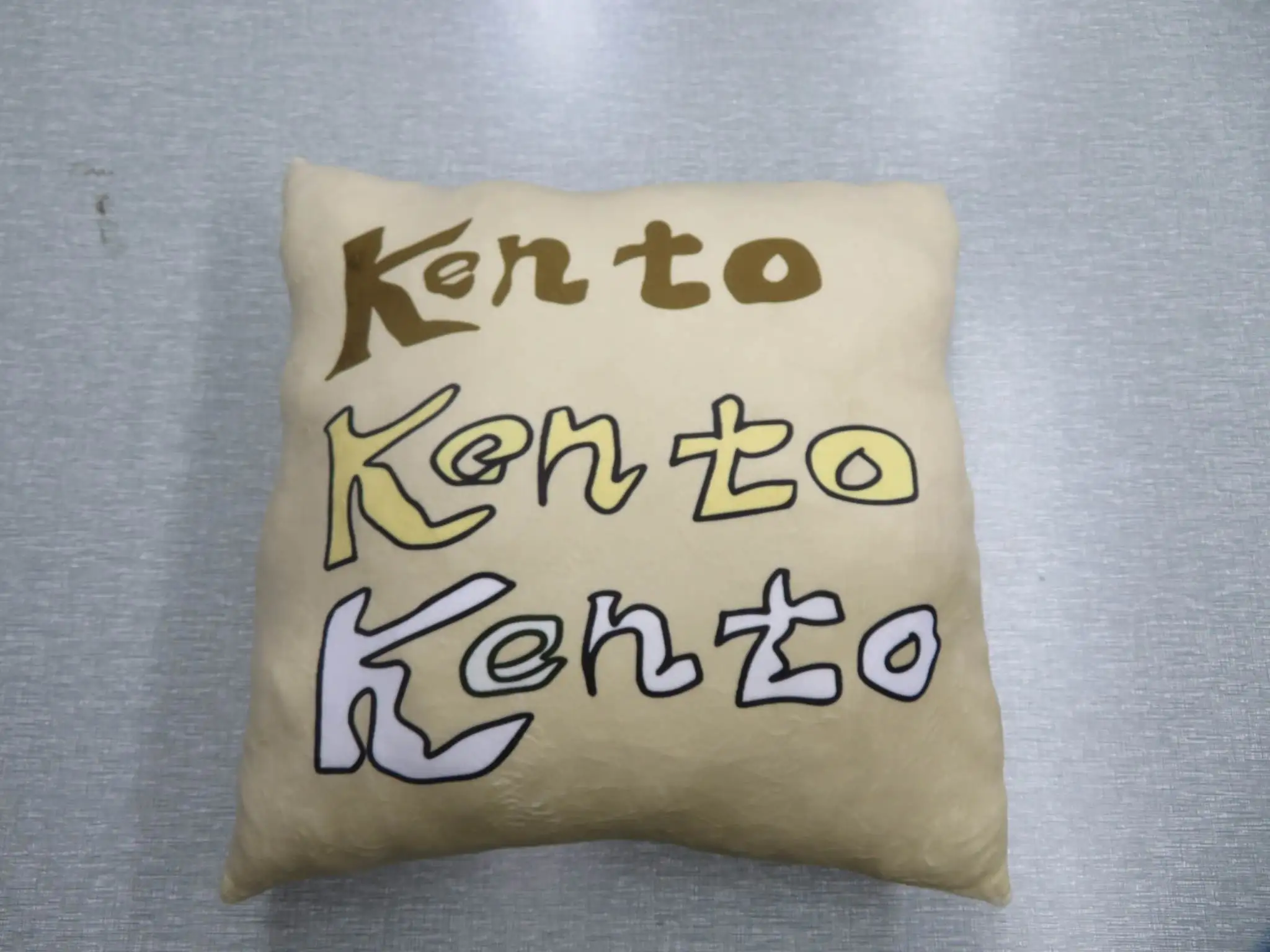 Throw pillow-product third party inspection/china inspection service