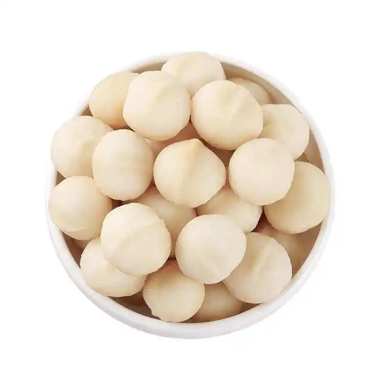Top quality rich nutrition organic macadamia nuts south africa delicious macadamia roasted