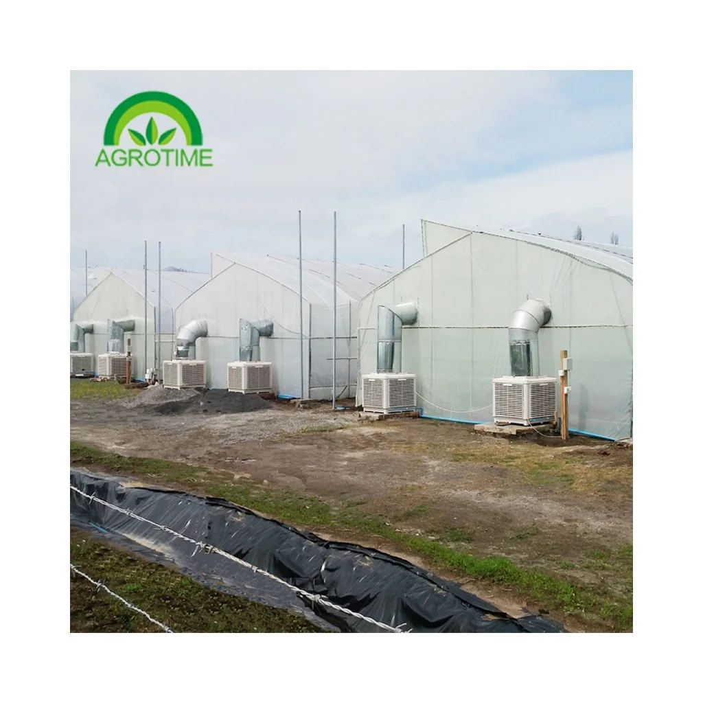 tropical greenhouse growing Commercial Greenhouse Filmes Polycarbonate agricultural green house