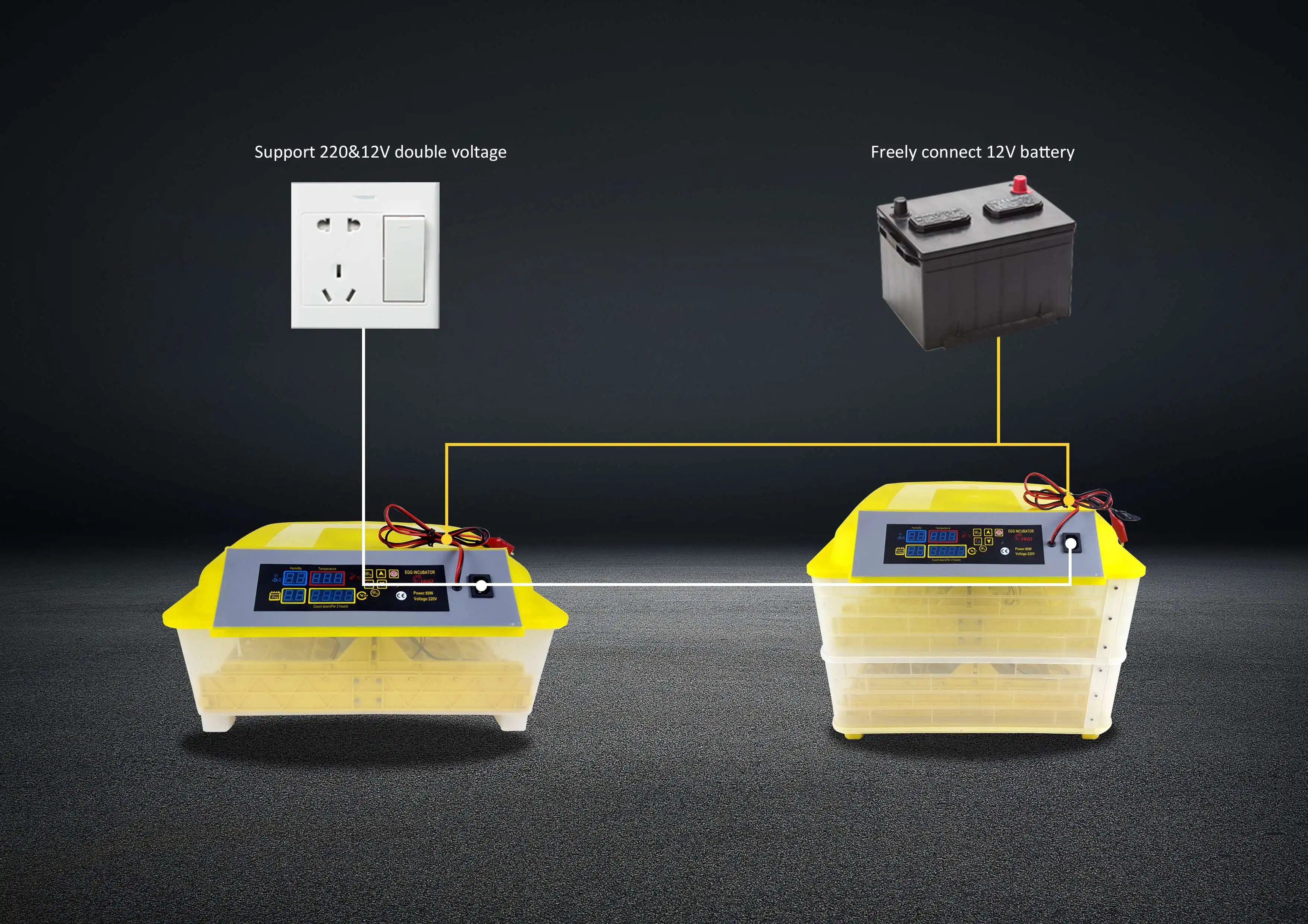 HHD WONEGG Dual Power Fertilized Turkey Automatic Hatching 48 Chicken 50w Egg Incubator