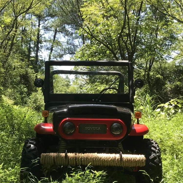 
YASN новая модель 300CC UTV 4x4 багги 4 места Максимальная скорость 80 км/ч 