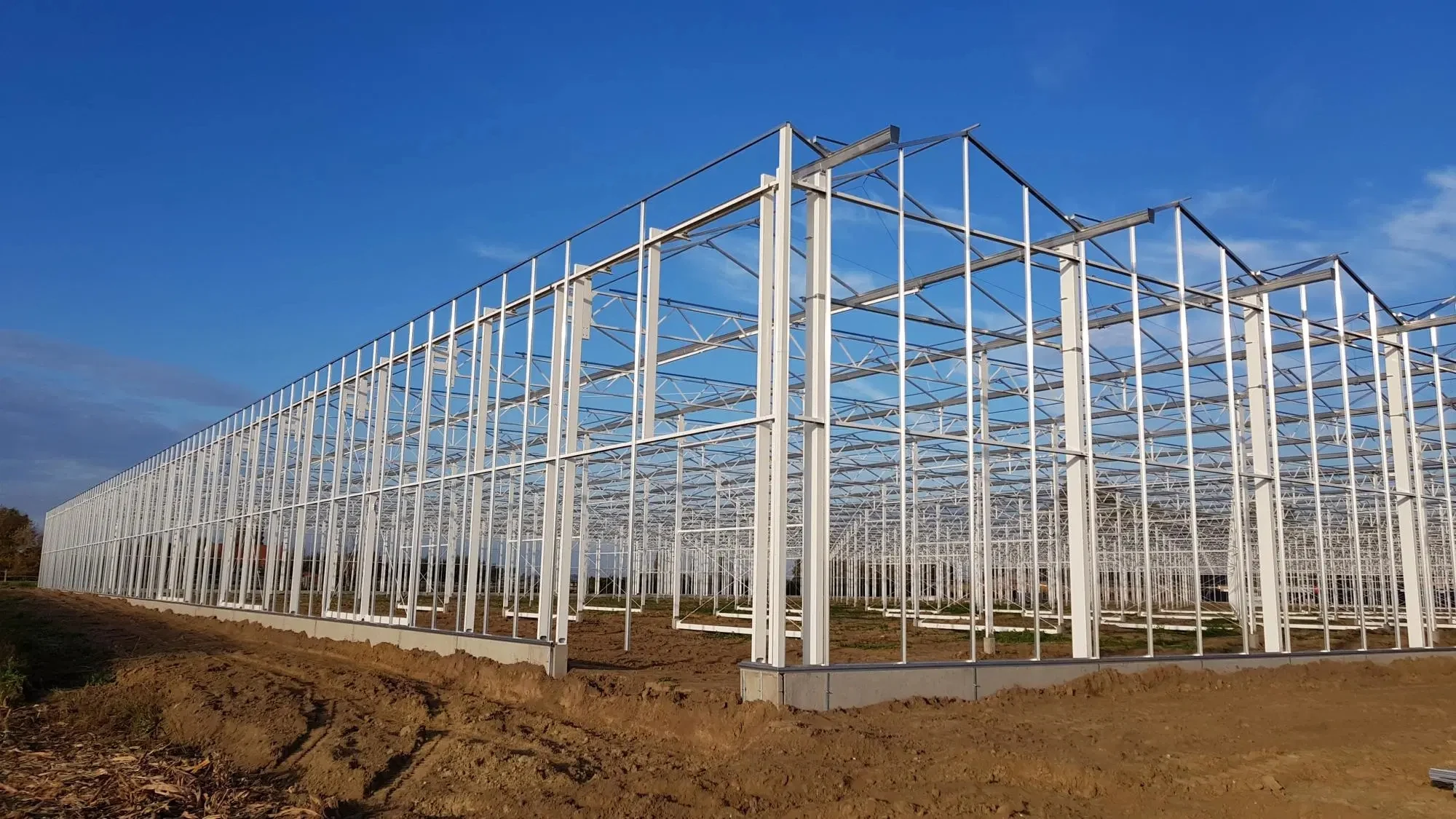 Vertical Venlo Glass Greenhouses with Hydroponics System for Growing Vegetables