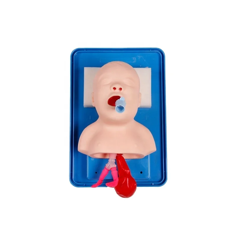 Neonatal Tracheal Intubation Model Lab Airway Training Newborn Endotracheal Intubation Manikin