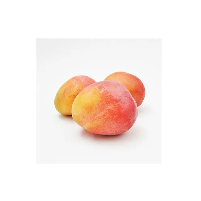 100% Fresh Badami Mango For Best Price