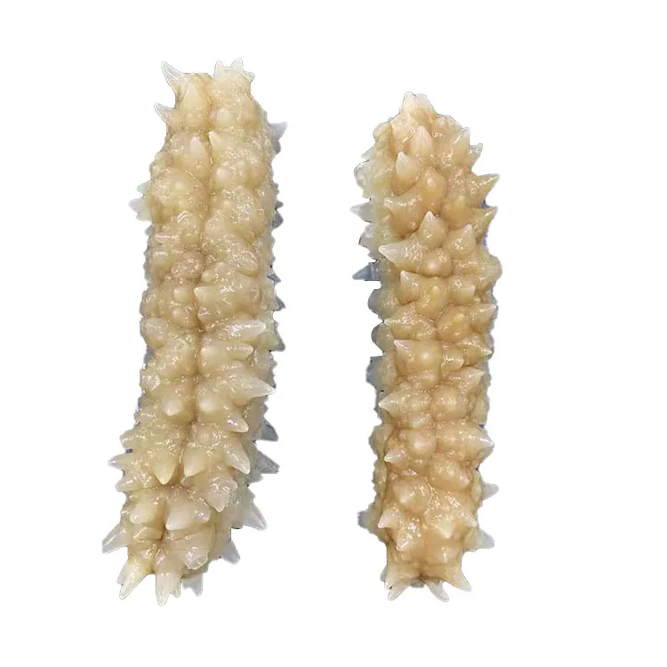 High Grade Wholesale Dried Sea Cucumber Buyer Thorn King Sea Cucumber