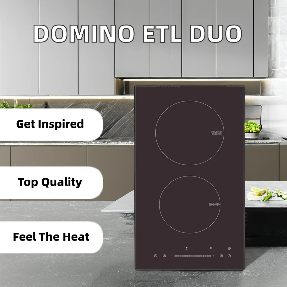 2-Burner Induction Cooker Rapid Heating Electric Household Appliance Mechanical Operation