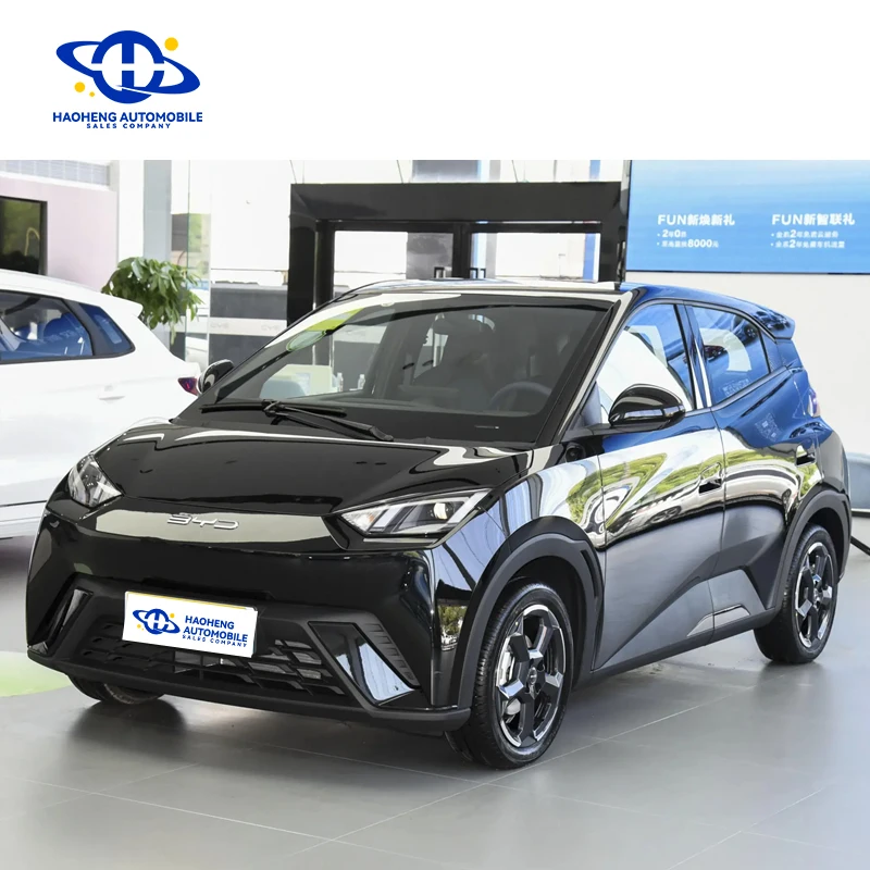 Лидер продаж, 2024, китайский Электрический компактный автомобиль